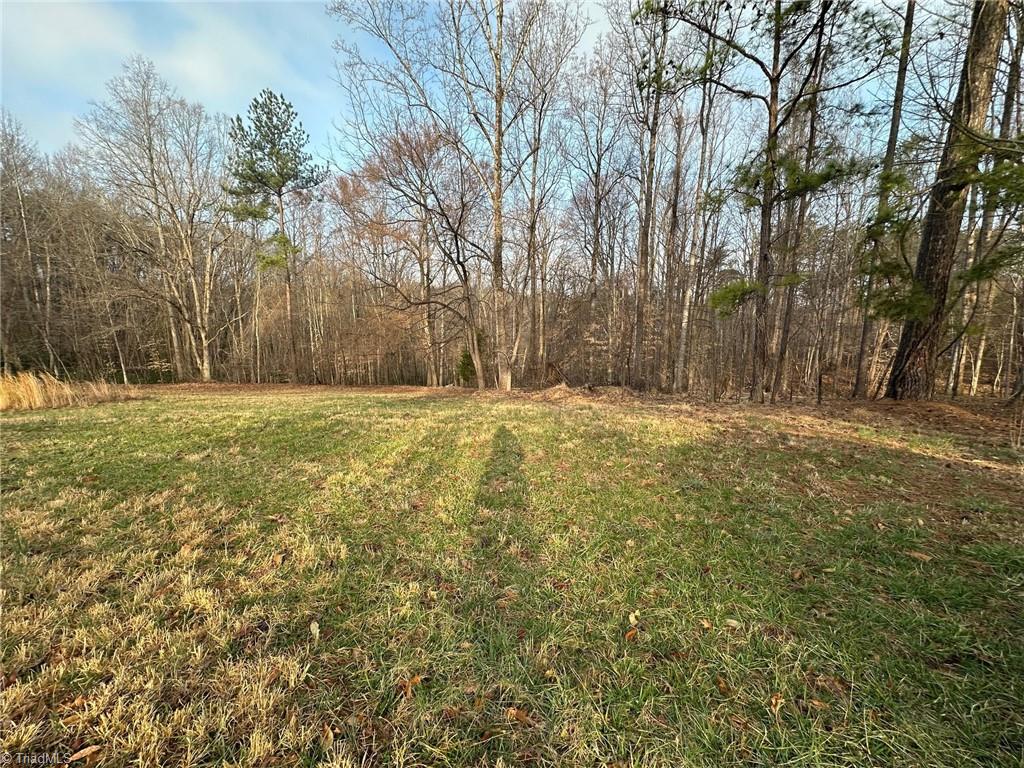 1351 Gene Martin Road, Walnut Cove, North Carolina image 5