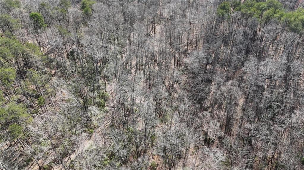 1351 Gene Martin Road, Walnut Cove, North Carolina image 16