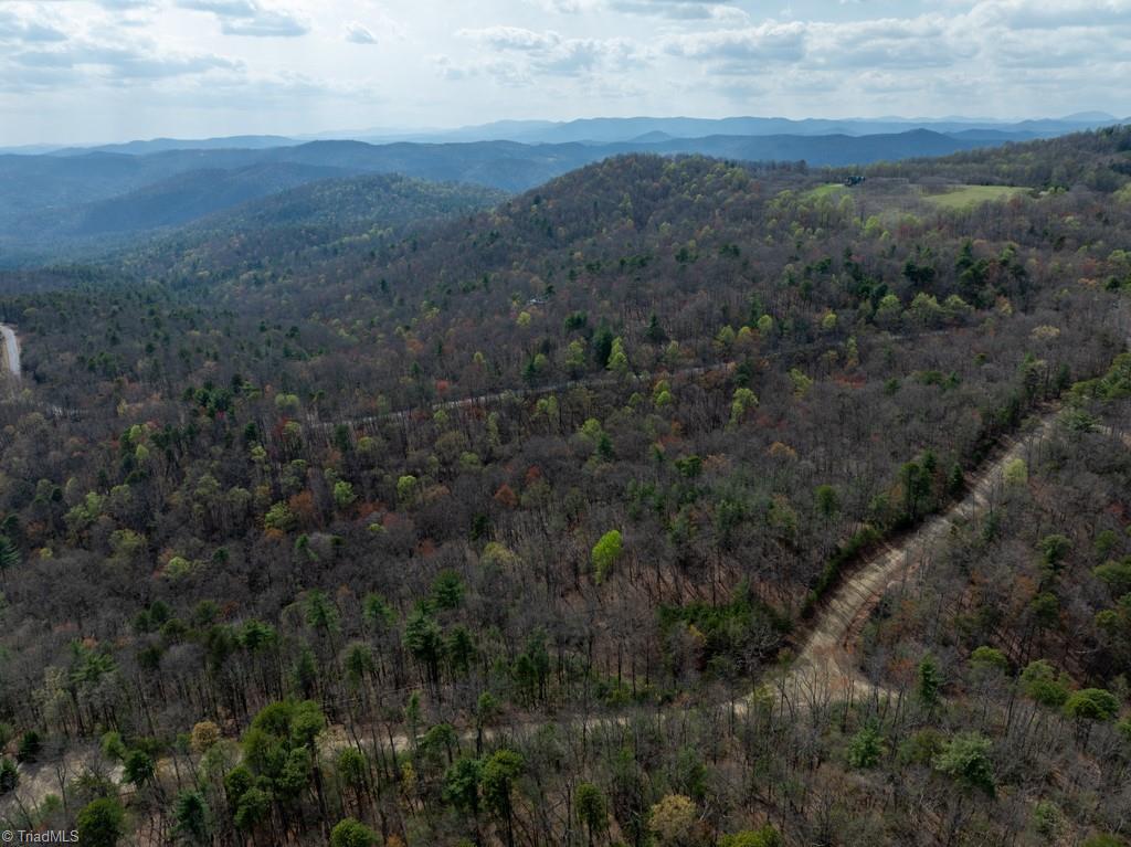 13 Chestnut Mountain Farms Parkway, McGrady, North Carolina image 8