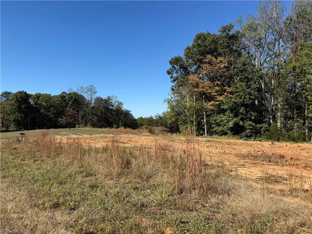 1130 Stokes Grading Drive, Germanton, NC, 27019