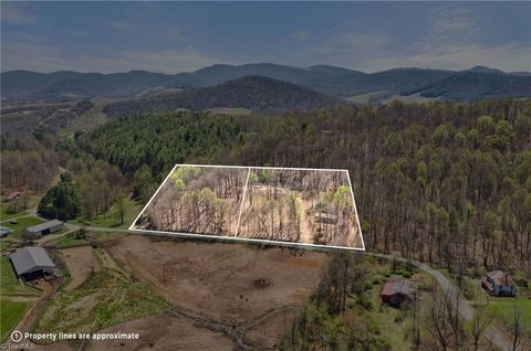 Vacant Land For Sale - Walnut Branch Church Road<br/> Sparta, NC 28675