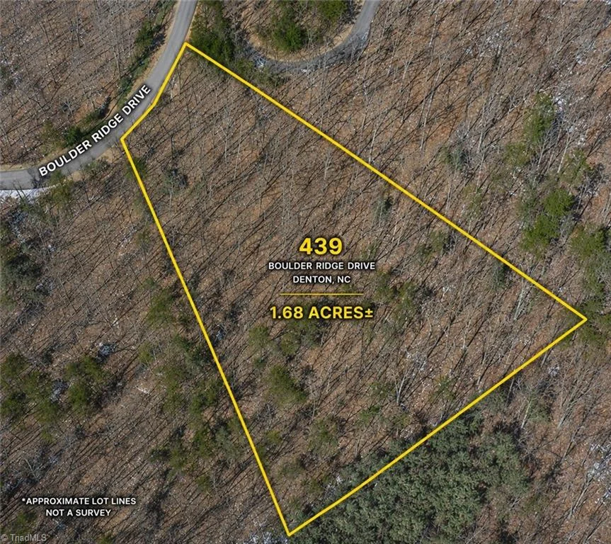 439 Boulder Ridge Drive, Denton, NC, 27239