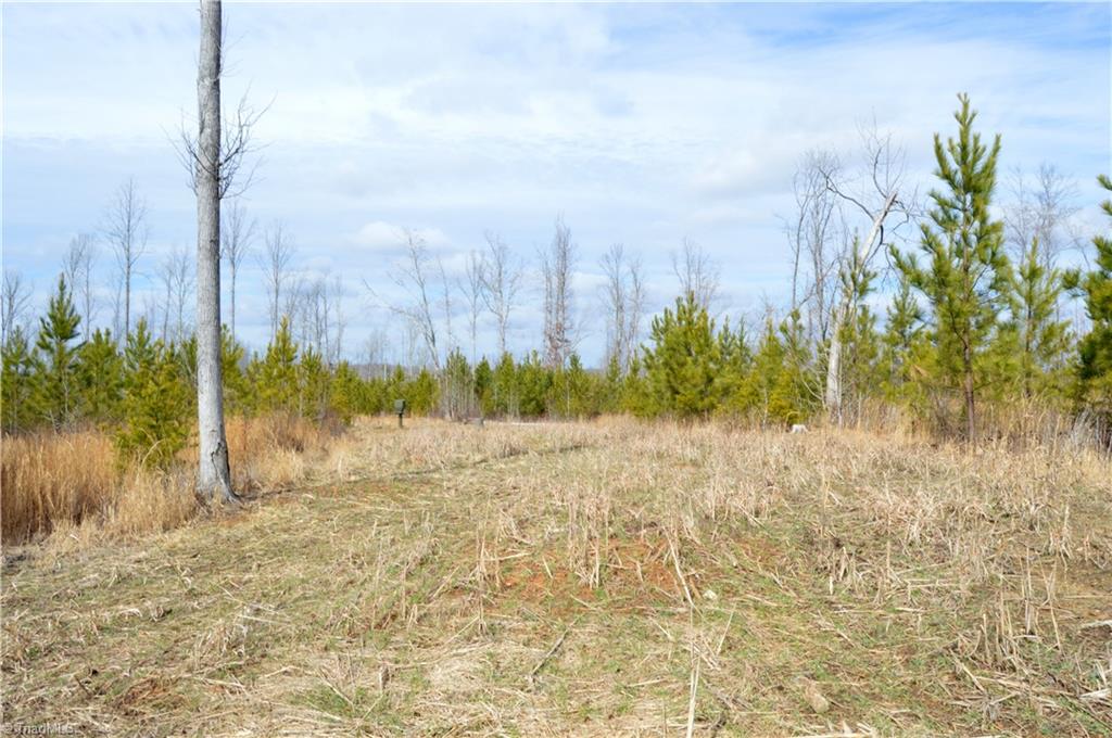 Off Of Nc Highway 700, Pelham, North Carolina image 4