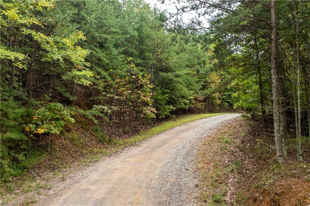 7.8ac Norman Road, Mount Airy, North Carolina image 7