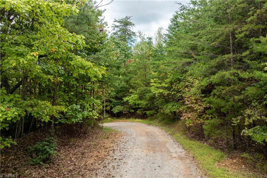 7.8ac Norman Road, Mount Airy, North Carolina image 8