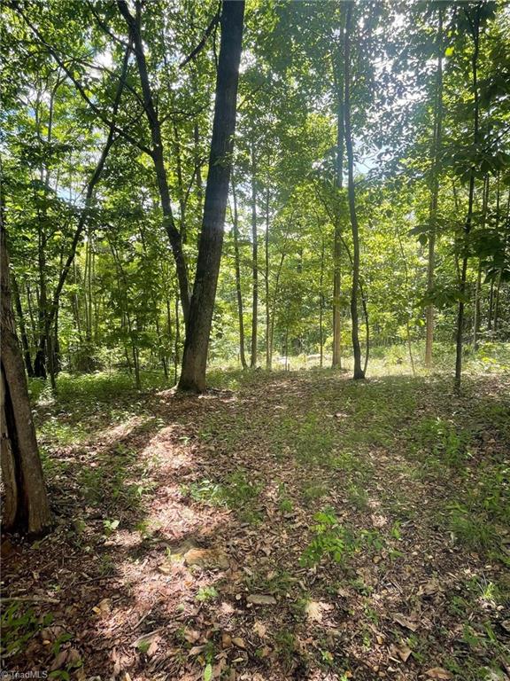 Lot 15 Dogwood Road, Moravian Falls, North Carolina image 15