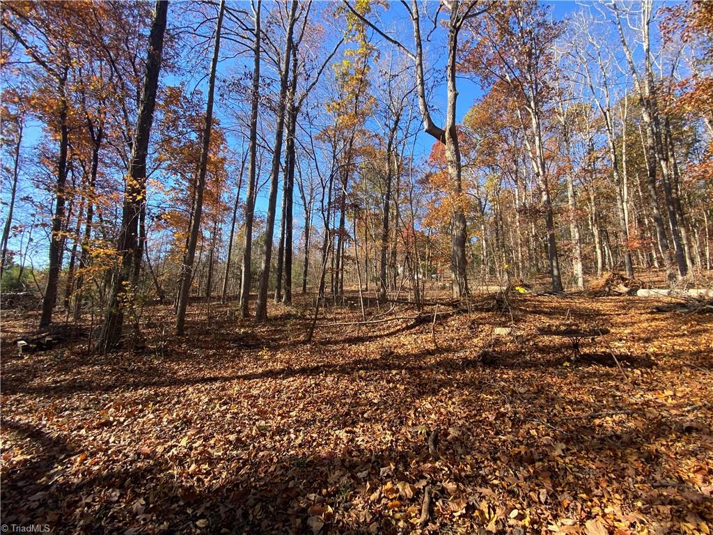 24362 S NC Highway 109