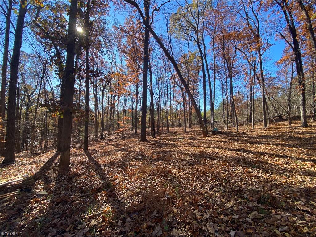 24362 S NC Highway 109