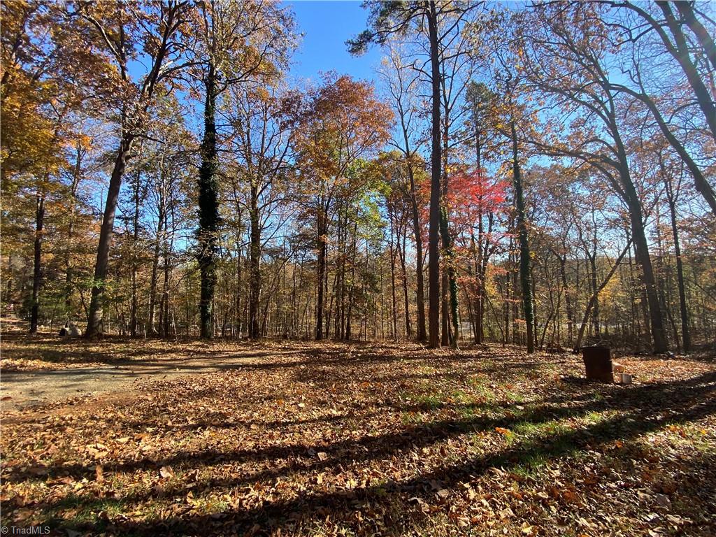 24362 S NC Highway 109