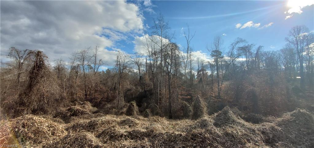 Us Highway 601, Mocksville, North Carolina image 5