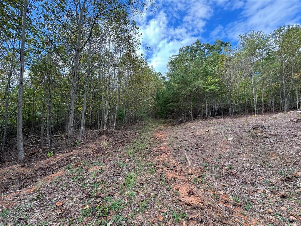 Lot 41 Rc Road, Traphill, North Carolina image 2