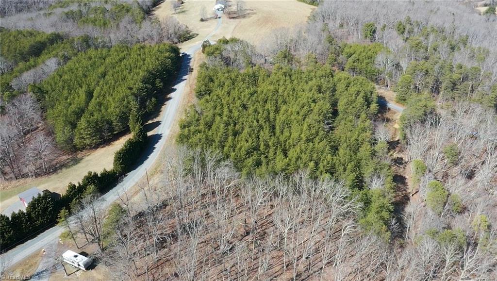 247 Hanging Rock Forest Road #TRACT E, Danbury, North Carolina image 4