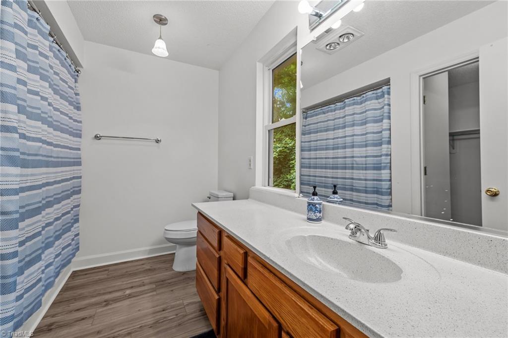 3006 Songbird Place, Snow Camp, North Carolina image 10