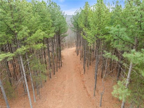 Vacant Land For Sale - Doug Stanley Road<br/> Sandy Ridge, NC 27046