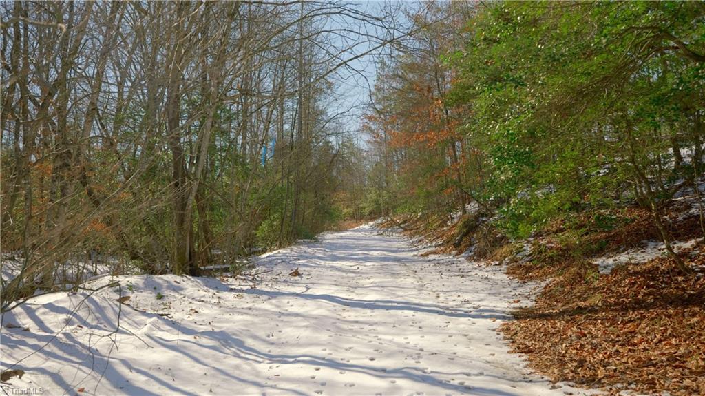 Smitherman Road, East Bend, North Carolina image 29