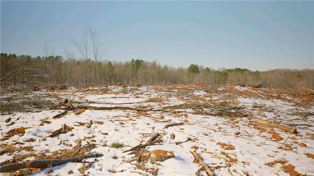 Smitherman Road, East Bend, North Carolina image 20