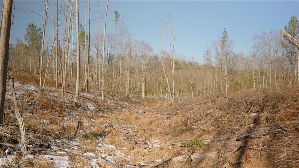 Smitherman Road, East Bend, North Carolina image 26