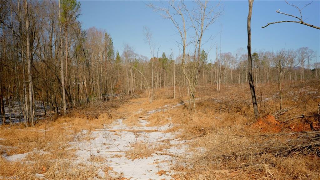 Smitherman Road, East Bend, North Carolina image 33