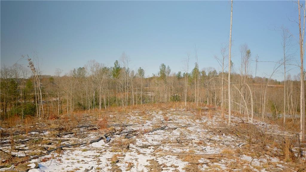 Smitherman Road, East Bend, North Carolina image 24
