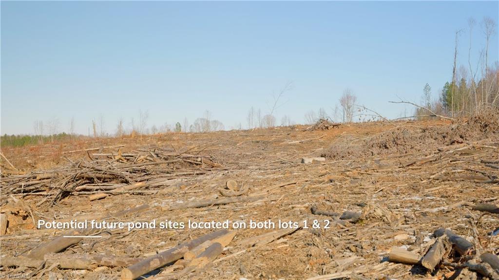 Smitherman Road, East Bend, North Carolina image 16