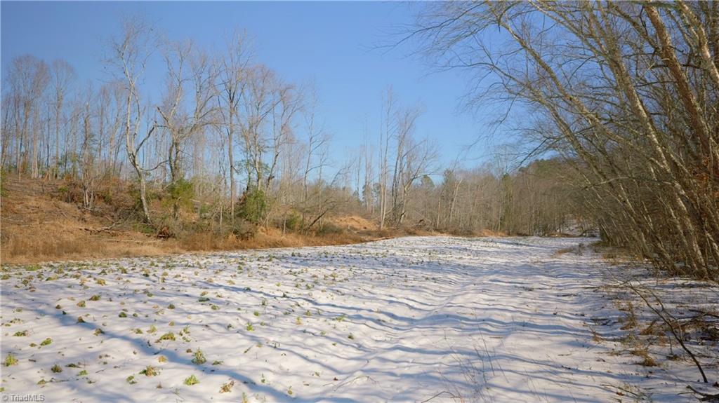 Smitherman Road, East Bend, North Carolina image 28