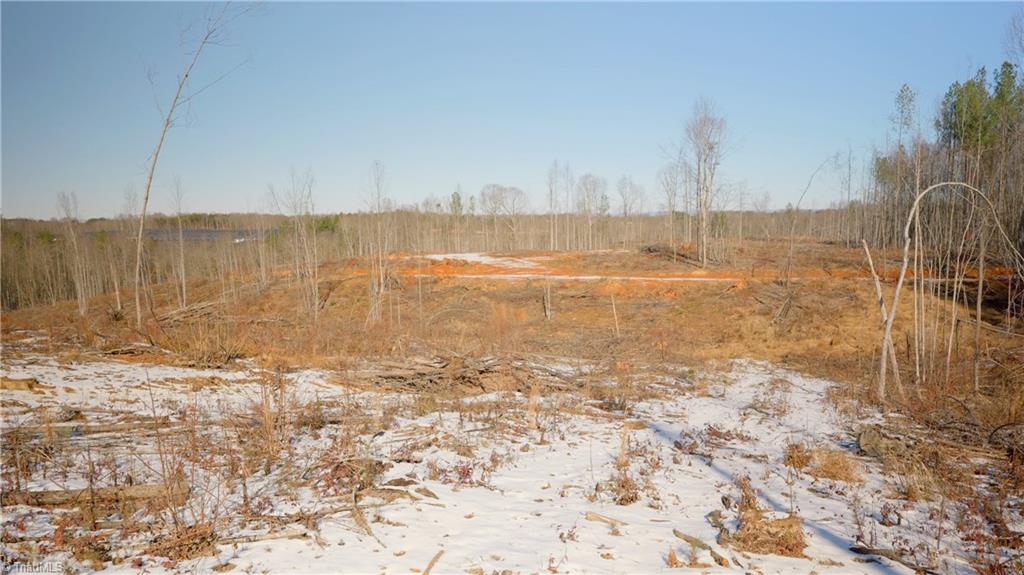 Smitherman Road, East Bend, North Carolina image 18