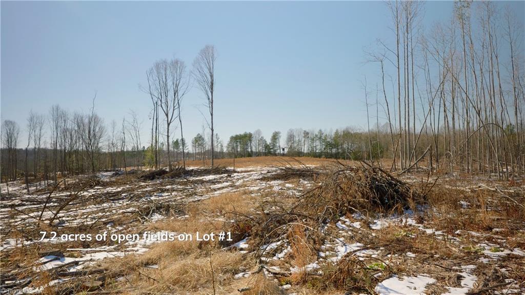 Smitherman Road, East Bend, North Carolina image 34