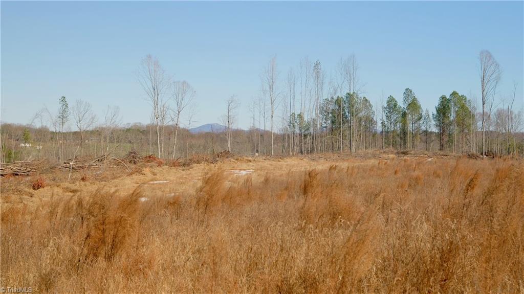 Smitherman Road, East Bend, North Carolina image 32
