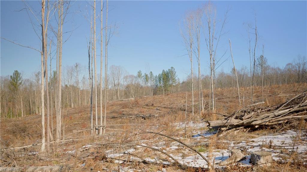 Smitherman Road, East Bend, North Carolina image 25