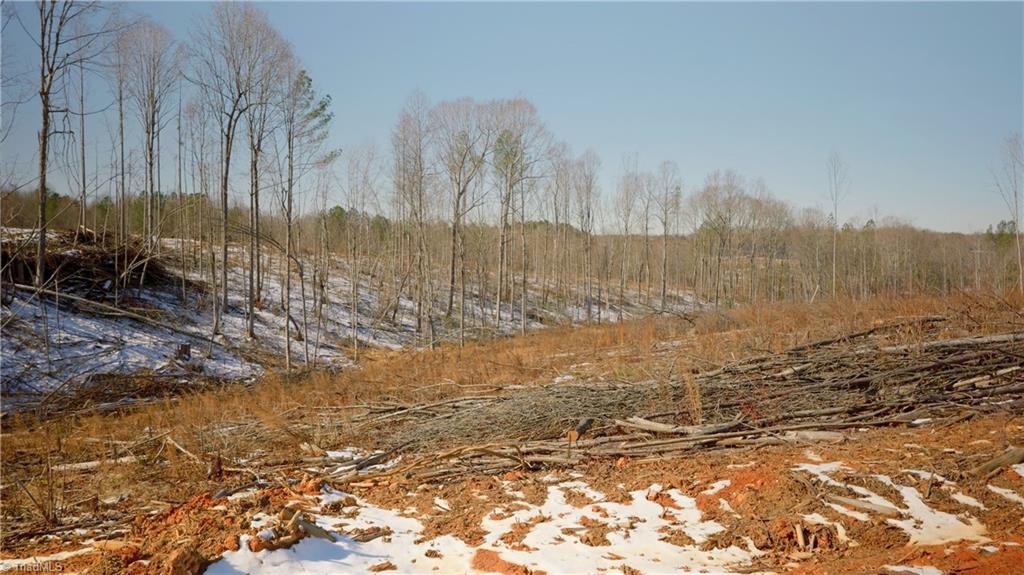 Smitherman Road, East Bend, North Carolina image 21