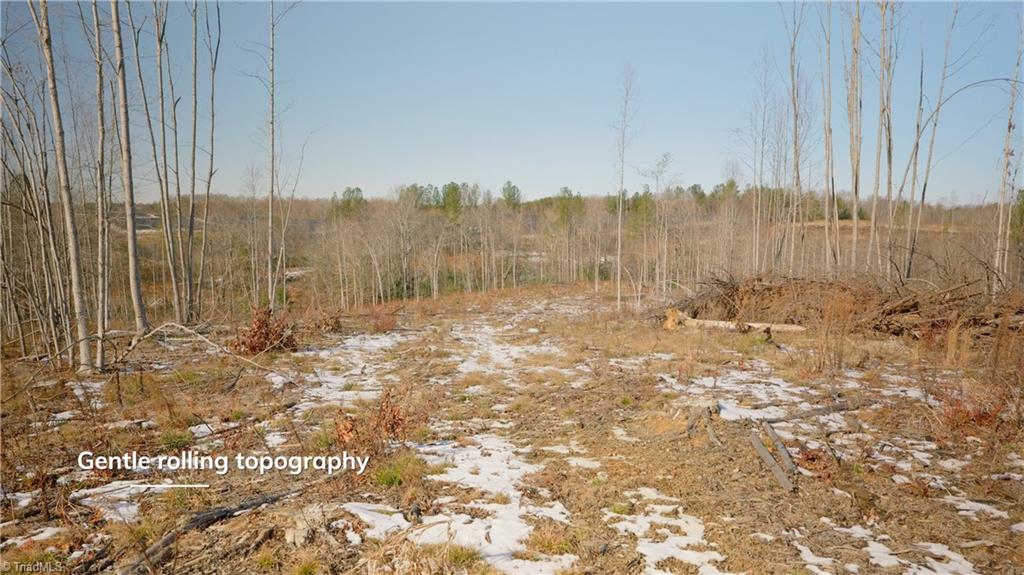 Smitherman Road, East Bend, North Carolina image 22