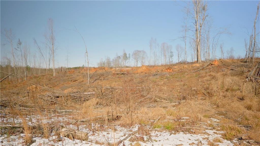 Smitherman Road, East Bend, North Carolina image 19