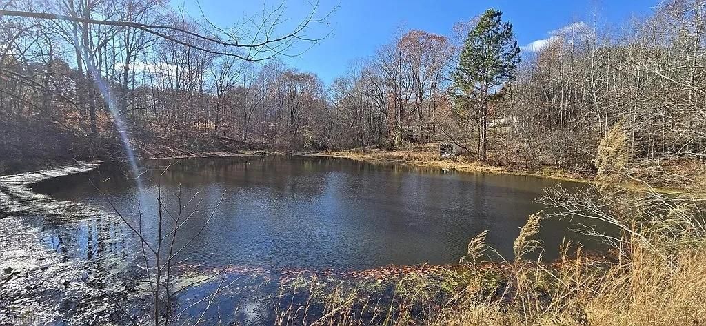 Photo of 318 Winesap Drive, Pelham, NC 27311 (MLS # 1203544)