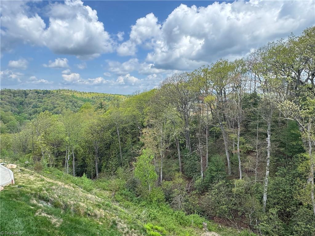 70 Paynes Court, Roaring Gap, North Carolina image 36
