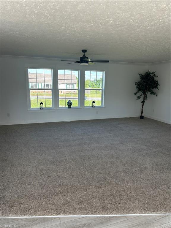 3700 Ireland Road, Yadkinville, North Carolina image 18
