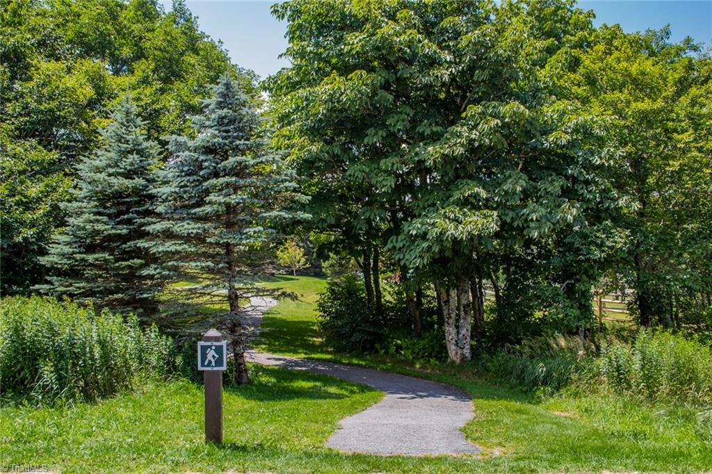301 Pinnacle Inn Road #2210, Beech Mountain, North Carolina image 46