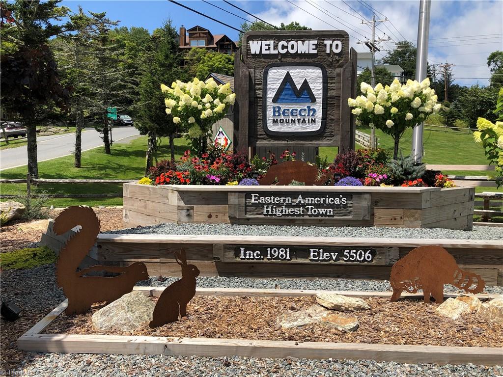 301 Pinnacle Inn Road #2210, Beech Mountain, North Carolina image 45
