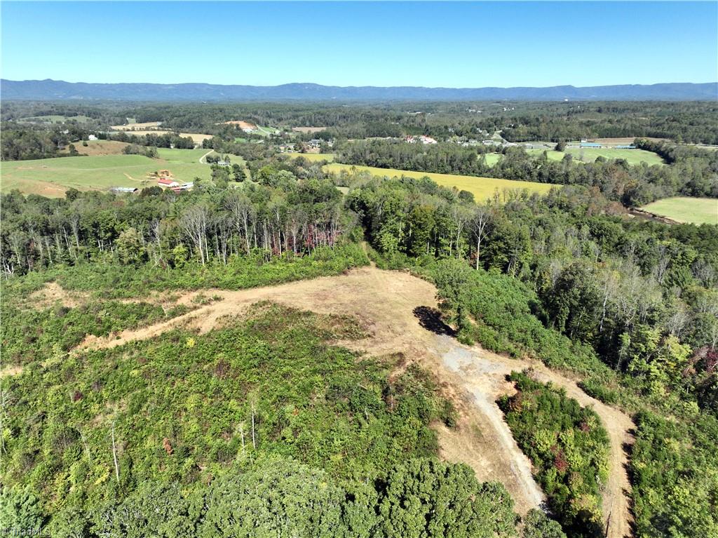 38.7 Acres Doris Avenue, Mount Airy, North Carolina image 13