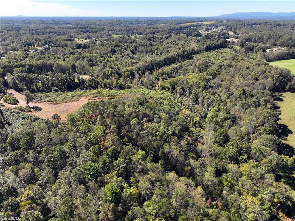 38.7 Acres Doris Avenue, Mount Airy, North Carolina image 20