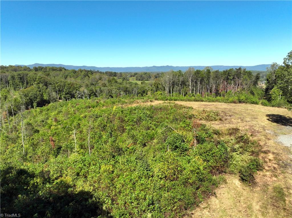 38.7 Acres Doris Avenue, Mount Airy, North Carolina image 21