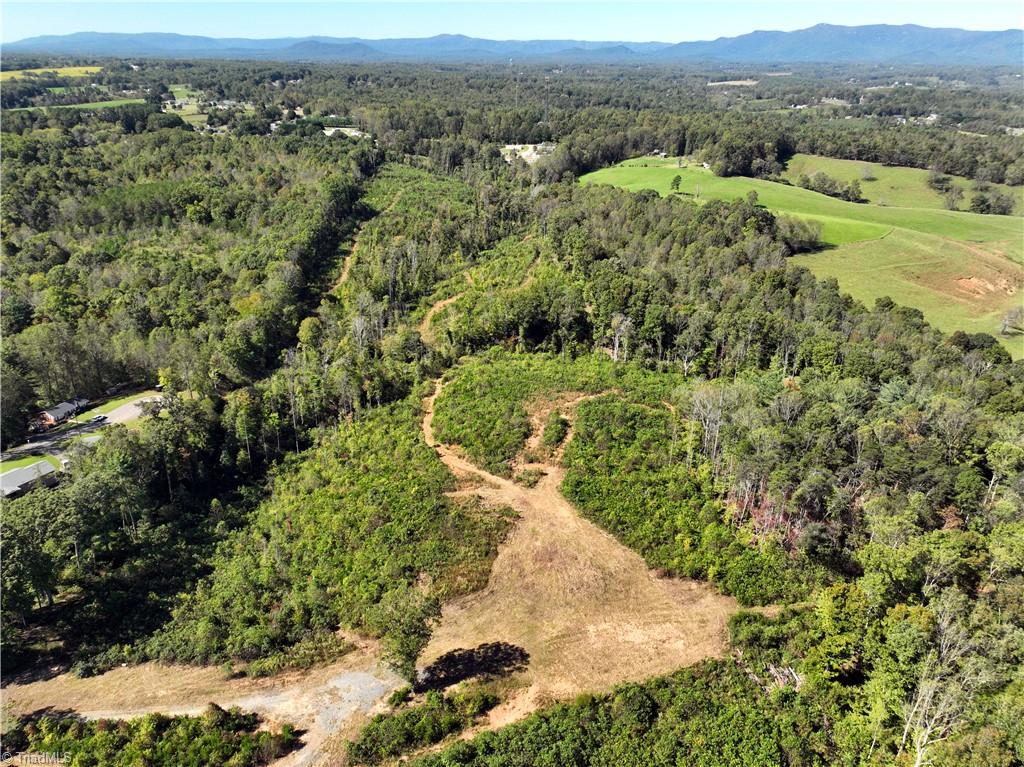 38.7 Acres Doris Avenue, Mount Airy, North Carolina image 18