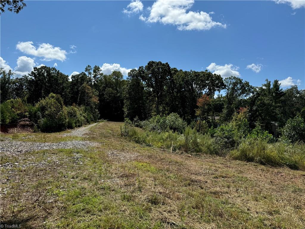 38.7 Acres Doris Avenue, Mount Airy, North Carolina image 24