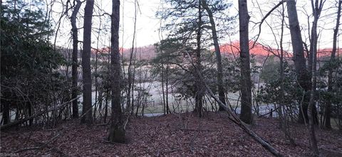 Vacant Land For Sale - Air Bellows Gap Road<br/> Sparta, NC 28675