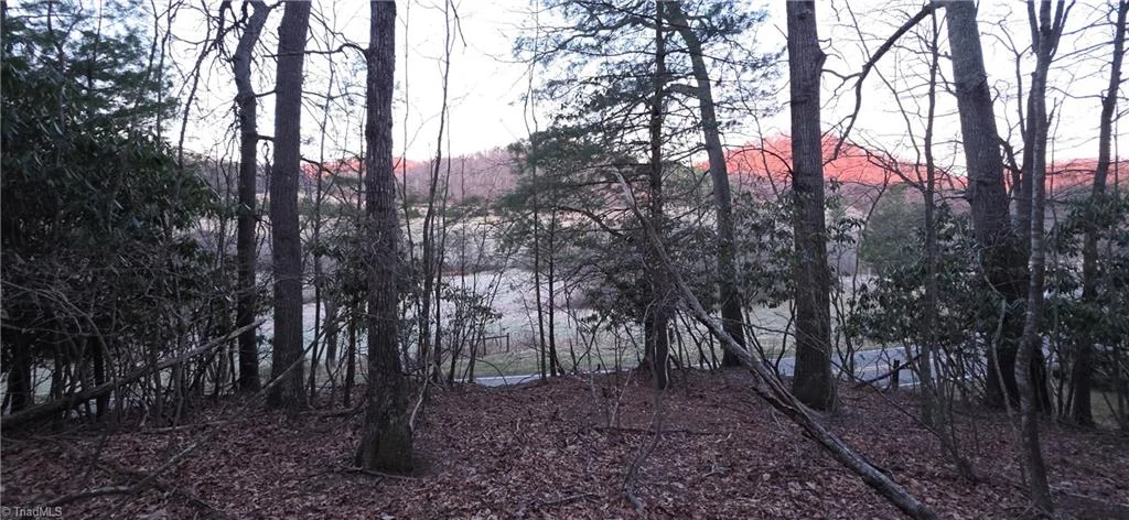 0 Air Bellows Gap Road, Sparta, NC, 28675