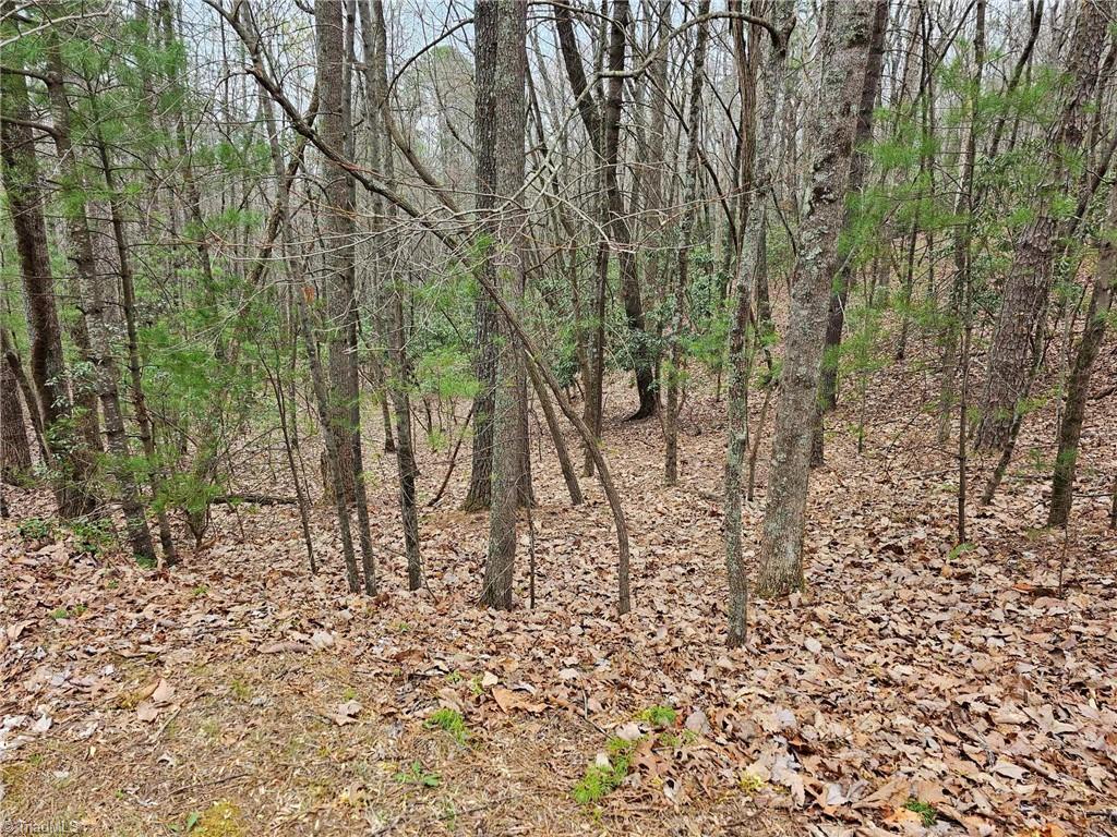 Lot 15 Baldwin Drive, Lowgap, North Carolina image 42