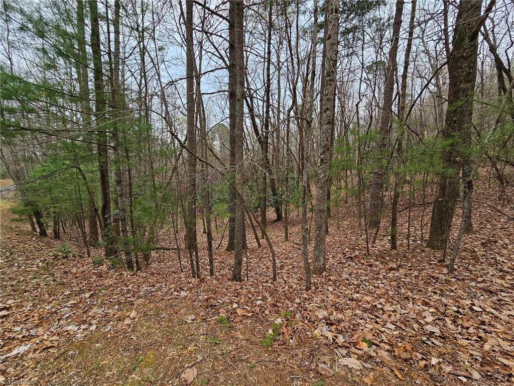 Lot 15 Baldwin Drive, Lowgap, North Carolina image 39