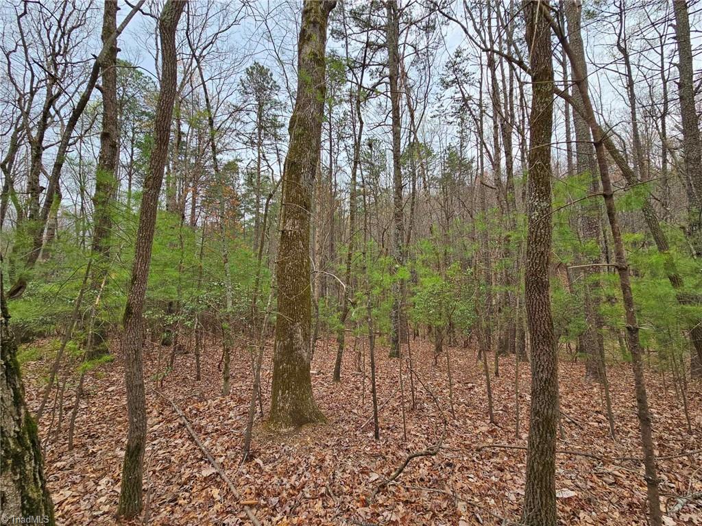 Lot 15 Baldwin Drive, Lowgap, North Carolina image 4