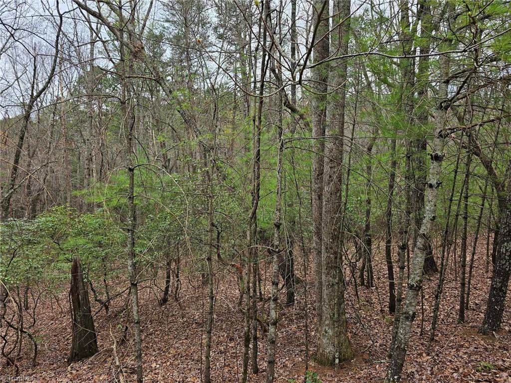 Lot 15 Baldwin Drive, Lowgap, North Carolina image 44