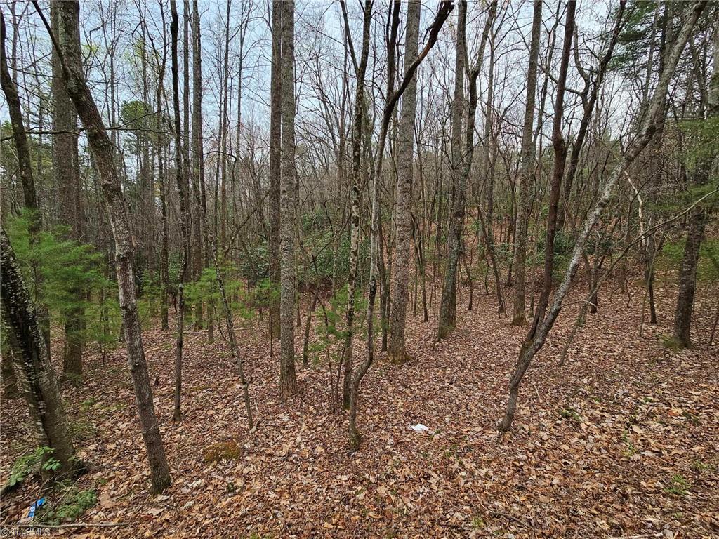 Lot 15 Baldwin Drive, Lowgap, North Carolina image 6