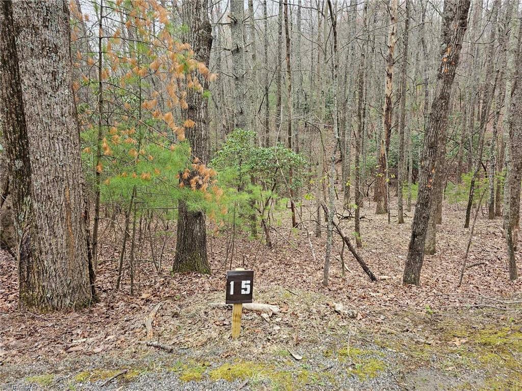 Lot 15 Baldwin Drive, Lowgap, North Carolina image 3